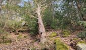 Excursión Senderismo Wintzenheim - Boucle de la fontaine de la dame  - Photo 16