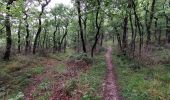 Tour Wandern Saou - Petit Pomerolle par Lestang - Photo 16