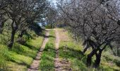 Trail Walking Collobrières - SityTrail - chapelle st guillaume  - Photo 13