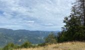 Trail Walking Kirchberg - Lochberg ferme auberge - Photo 10
