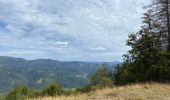 Tocht Stappen Kirchberg - Lochberg ferme auberge - Photo 10