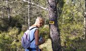 Tour Wandern Aspères - aspere - Photo 18