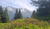 Tour Wandern Crêts-en-Belledonne - LE GRAND ROCHER PAR LE REFUGE DU CRET DU POULET - Photo 12