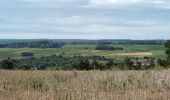 Tour Wandern Chissay-en-Touraine - Chissay-en-Touraine - Zig zag Beaune les Durdents - 18.2km 330m 3h50 - 2024 08 14 - Photo 5