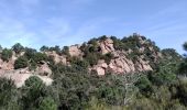 Tour Wandern Narbonne - Fontfroide trail - Photo 2