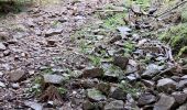 Percorso Marcia Theys - PINCERIE EN BOUCLE DEPUIS PIPAY - Photo 7