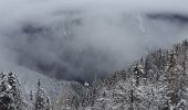 Tocht Te voet Tarvisio - Sentiero del Pellegrino - Photo 3