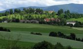 Tocht Te voet Teningen - Vierburgenweg - Photo 2