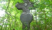 Tocht Stappen Anhée - Bois de la Croix de Banse et Bois de Ronquière - Photo 1