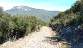 Tour Wandern Duilhac-sous-Peyrepertuse - 7eme étape sentier cathare  - Photo 18