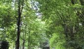 Tocht Stappen Gisors - Gisors voie verte jusqu'à Beausséré - Photo 13