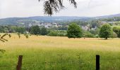 Trail Walking Vielsalm - La nature en questions   - Photo 2