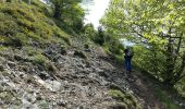 Trail On foot Salles - SALLES-ARGELES col d'Andorre et soum de Leiz (ou pas)  2796042 - Photo 4