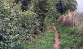 Trail Walking Eijsden-Margraten - glandouille ? non, vadrouille ! - Photo 12