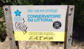 Trail Walking Saint-Cyr-sur-Mer - Dune de sable  - Photo 1