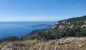 Excursión Senderismo La Turbie - fort de la Revère - Photo 2