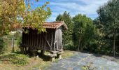 Tour Wandern Sobrado e Bairros - Castelo de Paiva - Douro (GR60) - Photo 20