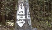 Tocht Te voet Niederelbert - Kadenbacher Rundwanderweg K3 - Photo 9