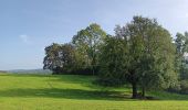 Tocht Stappen Comblain-au-Pont - oneux . comblain-la-tour . oneux - Photo 15