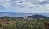 Trail Walking Collioure - boucle autour de collioure  - Photo 4