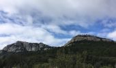 Tocht Stappen La Farlède - Le Coudon au départ de la Farlède - Photo 1