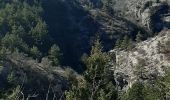 Trail Walking Garde-Colombe - SAINT GENIS Dep lac du Riou . Forte Sereine  gorges du Riou o m s    - Photo 4