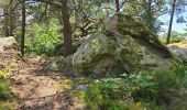 Randonnée Marche Milly-la-Forêt - Milly-la-Forêt - Forêt domaniale des Trois pignons - Curiosités  - Photo 4