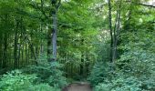 Excursión Senderismo Aubange - Bois d’Halanzy et réserve du crassier - Photo 14