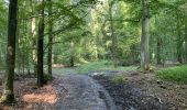 Randonnée Marche Oigny-en-Valois - en forêt de Retz_86_les Laies de la Poudrerie et de la Fosse aux Demoiselles - Photo 8