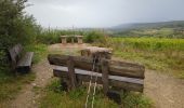 Excursión Senderismo Dorlisheim - rando Dorlisheim 2 - Photo 11