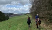 Trail Horseback riding Bastogne - Livarchamps - Photo 4