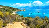 Trail Walking Saint-Florent - De la plage de l'Ospédale  à la plage de Lotu Saint Florent Haute Corse - Photo 17