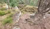 Trail Walking Recloses - Recloses Sentier Denecourt 20 - Photo 14