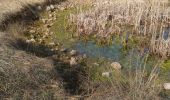 Trail Walking Vescles - Vescles Sous le pic d'oliferne  - Photo 1