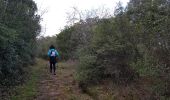 Excursión Marcha nórdica Le Puech - Les Vailhés - Laulo- L'Auverne 15 Février 2023 - Photo 8