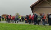 Tour Wandern Belfort - Marche JO Belfort Couthenans - Photo 6