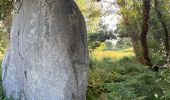 Tocht Stappen Penmarc'h - Menhir de la vierge - Photo 2