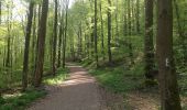 Trail On foot Unknown - Schauenburg, S13 - Photo 10