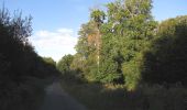 Trail Walking Haramont - en forêt de Retz_84_la Laie du Petit Bois d'Haramont - Photo 9