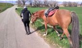 Trail Donkey back riding Livron-sur-Drôme - Abiche toundra - Photo 15