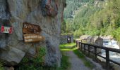 Trail Walking Alagna Valsesia - Alvania - Alpe Maller - Photo 4