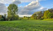 Trail Walking Blegny - Blegny et ses campagnes 🥾 - Photo 5