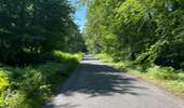 Randonnée Marche Rethondes - en Forêt de Laigue, 04_07_2025_sur les Routes du Grand Octogone, du Plessis-Brion, de Sainte-Croix, du Petit Octogone et de la Belle Assise - Photo 1