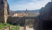 Tocht Stappen Grimaud - Grimaud - le pont des fées - Mont Roux 11.3.23 - Photo 14