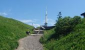 Excursión Senderismo Orcines - ascension puy de dôme départ col de ceyssat par chemin des muletiers 2019-07-03 - Photo 3