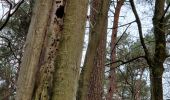 Tour Wandern Chaumont-Gistoux - #240216 - Bonlez, Aftia, Bruyères, Champ des Goffes**** - Photo 2