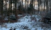 Randonnée Marche Neufchâteau - Hosseuse 4,2 km  - Photo 10