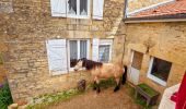 Tocht Stappen Chaumont - Boucle 31 km autour de Chaumont - Photo 10