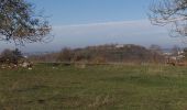 Randonnée Marche Beure - jourande, chapelle buis, fort de fontain - Photo 5