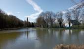Trail Walking Seneffe - Seneffe - Photo 8